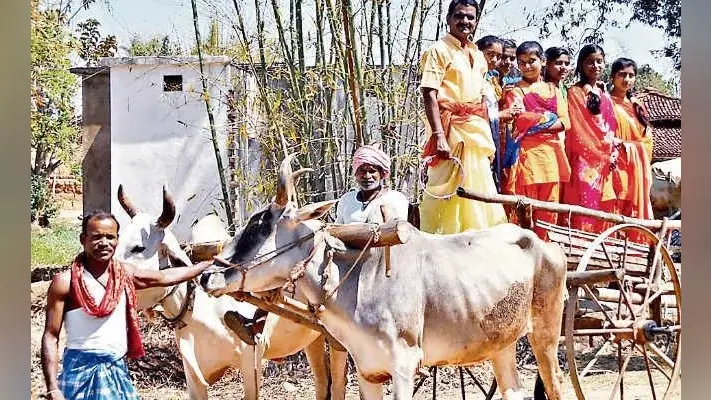 कइसे वोट देबउ अबरी, देख न समझे न आ रह हऊ….., गुमला में बैलगाड़ी से मतदाताओं को जागरूक कर रहे हैं महावीर