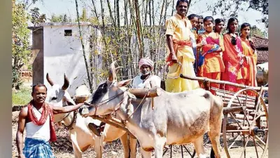 कइसे वोट देबउ अबरी, देख न समझे न आ रह हऊ….., गुमला में बैलगाड़ी से मतदाताओं को जागरूक कर रहे हैं महावीर