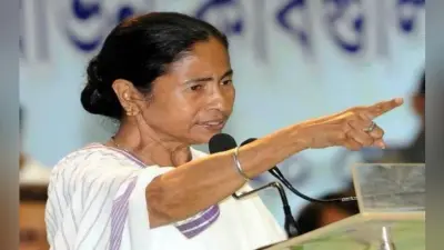 हम ‘लुटेरे और झूठे चौकीदार” को सत्ता और राजनीति से बाहर कर देंगे : ममता बनर्जी