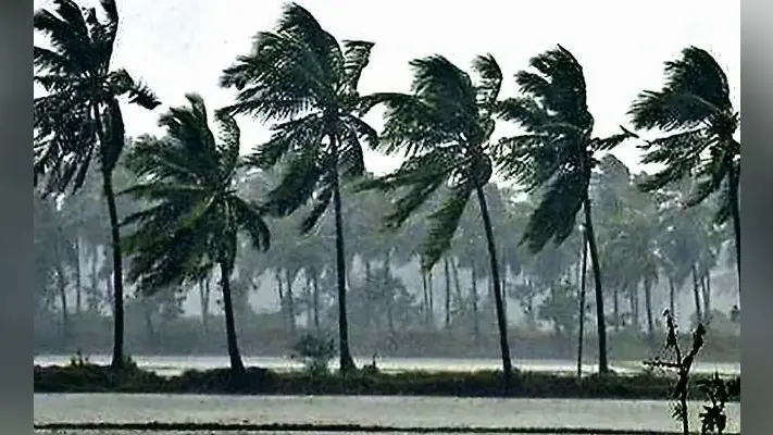 Cyclone Burevi, Weather Forecast : ‘बुरेवी’ मचाएगा तबाही ? मौसम विभाग ने जारी किया रेड अलर्ट, पीएम मोदी की पैनी नजर