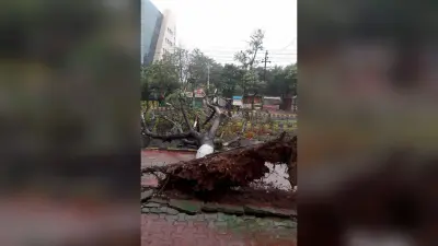 प्रचंड हवा और भारी बारिश के साथ ””FANI”” तूफान ने दी ओडिशा में दस्तक