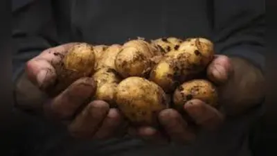 सोशल वर्कर्स ने पेप्सिको से की गुजरात के आलू किसानों के उत्पीड़न के मुआवजे की मांग