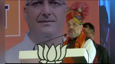 दो ही देश ऐसे थे जो अपने जवानों के खून का बदला लेते थे, इस सूची में तीसरा नाम भारत का जुड़ गया : अमित शाह