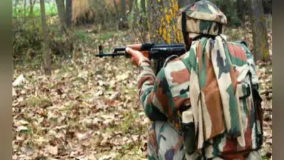 छत्तीसगढ़ के दंतेवाड़ा में सुरक्षा बलों के साथ मुठभेड़, महिला नक्सली समेत दो ढेर