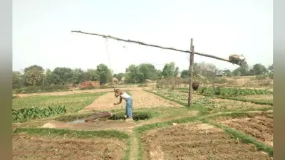 बड़कागांव में आज भी लाठ-कुंडी के सहारे सिंचाई करते हैं किसान