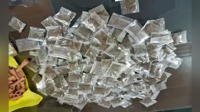 100 पुड़िया गांजे के साथ दो गिरफ्तार