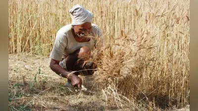किसानों का करायें रजिस्ट्रेशन