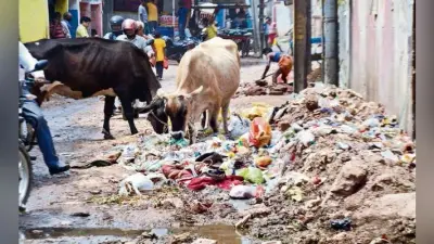 खुदाई ने रोका सड़क-पानी का रास्ता