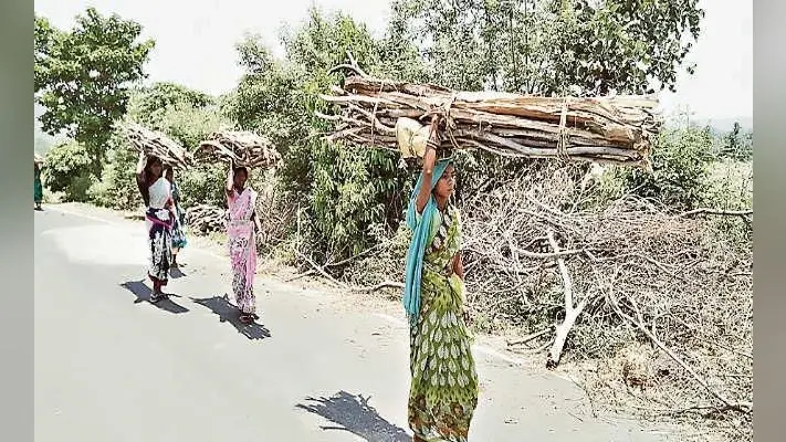 मनरेगा योजना में नहीं मिल रहा रोजगार, लकड़ियां बेचने को विवश हैं महिलाएं