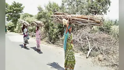 मनरेगा योजना में नहीं मिल रहा रोजगार, लकड़ियां बेचने को विवश हैं महिलाएं