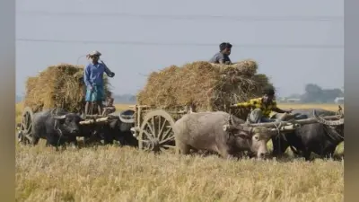 देश के सभी किसानों को मिलेगा प्रधानमंत्री किसान योजना का लाभ, सरकार ने फैसले को अधिसूचित किया