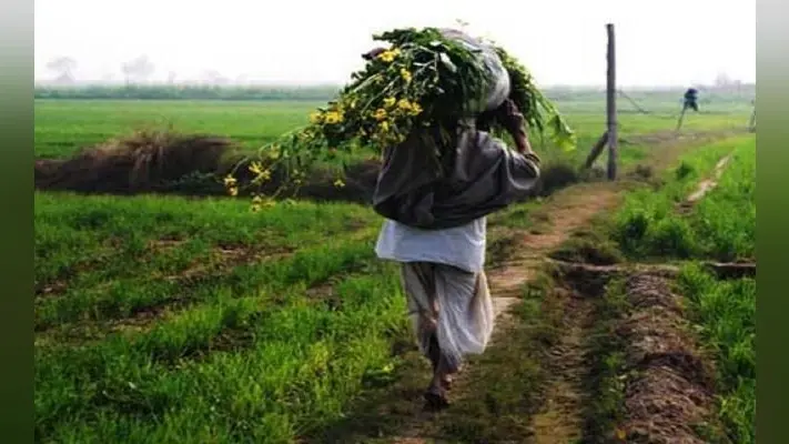 धनबाद में 1,02,048 लोगों ने पीएम कृषि सम्मान निधि के लिए आवेदन दिया, 76,198 की जांच, 67,550 निकले फर्जी