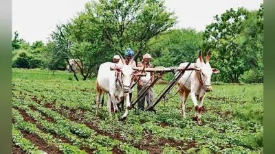पटना : पीएम सम्मान निधि योजना के आवेदनों का जल्द निबटारा