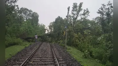 गंगाघाट और जोन्हा के बीच रेलवे ट्रैक पर गिरा पेड़, कई ट्रेनें विलंब से चलीं