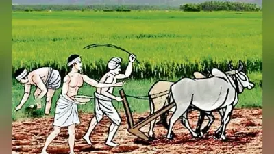रांची : 6200 करोड़ से किसानों का दिल जीतने में जुटी है रघुवर सरकार