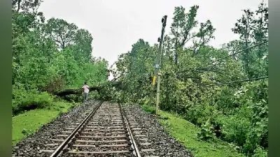 रांची : गंगाघाट और जोन्हा के बीच ट्रैक पर गिरा पेड़, घंटों विलंब से गयीं कई ट्रेनें