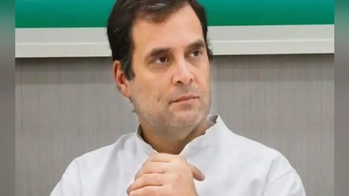 राहुल गांधी ने दिल्ली के वरिष्ठ नेताओं से की मुलाकात, विधानसभा चुनाव पर की बातचीत