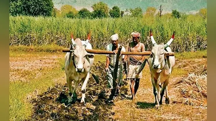 कृषि विभाग की गलती से अयोग्य को भी मिला लाभ