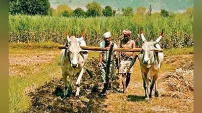 कृषि विभाग की गलती से अयोग्य को भी मिला लाभ
