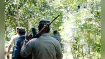 नक्सलियों का धन निवेश करने वाली दो कंपनी झारखंड से गायब, एनआइए ने शुरू की थी जांच