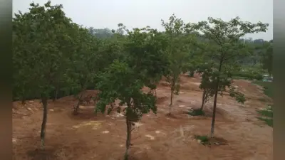 रांची, जमशेदपुर, बोकारो समेत कई जिलों में कल हो सकती है भारी बारिश, जानें इस बार कहां हुई सामान्य से ज्यादा बारिश