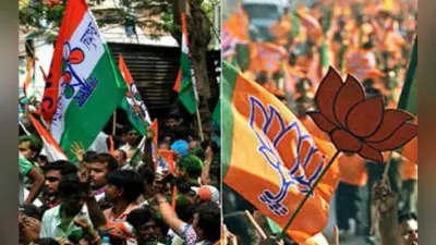 भाजपा समर्थकों पर तृणमूल समर्थकों को पीटने का आरोप, पांच जख्मी, एक लापता