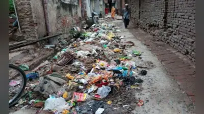 जलजमाव व गंदगी से वार्ड 41 के 15 लोग डायरिया की चपेट में