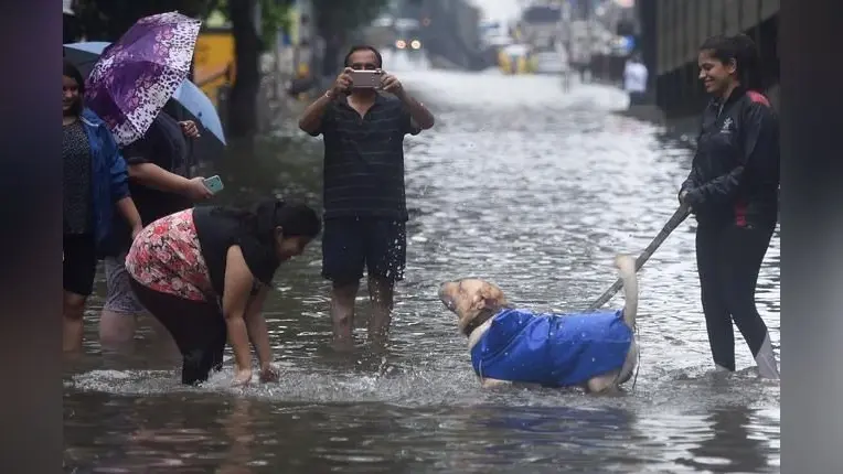 भारी बारिश से मुंबई बेहाल, देखें कुछ तस्वीरें