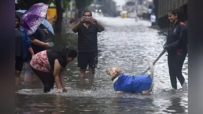 भारी बारिश से मुंबई बेहाल, देखें कुछ तस्वीरें