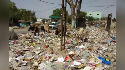गया : कचरे का उठाव नहीं होने से दिक्कत