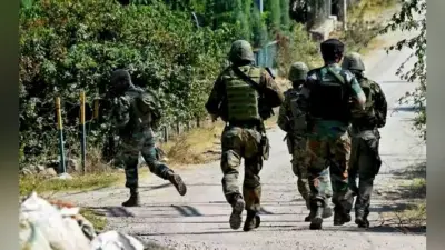 जम्मू-कश्मीर: शोपियां में सुरक्षा बलों और आतंकवादियों के बीच मुठभेड़, एक आतंकी ढेर
