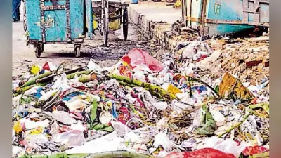 अब 20 किलो से अधिक निकला कचरा, तो खुद निबटाएं, कंपोस्टर नहीं लगाने पर देना होगा नगर निगम को जुर्माना