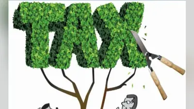 Budget 2019: मध्य वर्ग को मामूली राहत, जानें कुछ खास बातें जो आपके लिए है जरूरी