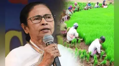 मुख्यमंत्री ममता बनर्जी ने सदन को बताया- खेती नहीं करना चाहते सिंगूर के किसान