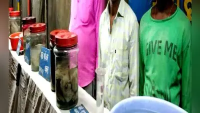 रांची: जगन्नाथपुर मेले में नवजात के शव के साथ दिखा रहे थे तमाशा, तीन हिरासत में