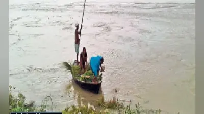 चार दिनों से रुक-रुक हो रही बारिश से कोसी का डिस्चार्ज डेढ़ लाख क्यूसेक के पार