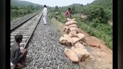 मालगाड़ी का इंजन हुआ फेल, तीन बोगियों से लूट लिया गया सैकड़ों बोरी चावल