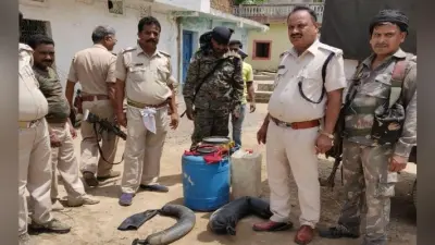 इचाक : करीमाटी गांव में पुलिस का छापा, चार शराब भट्ठा ध्वस्त, 435 लीटर महुआ शराब जब्त