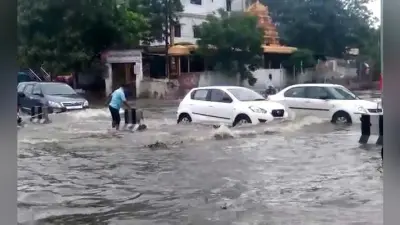 तेज बारिश से महानगर में जल-जमाव, गिरे पेड़