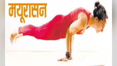 पेट संबंधी विकारों को दूर करता है मयूरासन