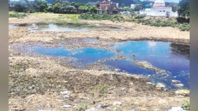 महादेव तालाब का अस्तित्व मिटाने पर तुले भू-माफिया