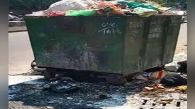 डस्टबीन से आ रही थी अजीबोगरीब आवाजें, लोगों ने समझा बम, खोलने पर निकला…