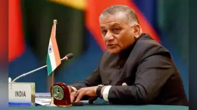 ”ग्लोबल इकोनॉमिक स्टैबिलिटी के लिए खतरा हैं भगोड़े आर्थिक अपराधी”