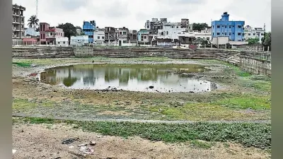तालाब में पानी नहीं, नगर निगम ने मछली पालन के लिए निकाला टेंडर