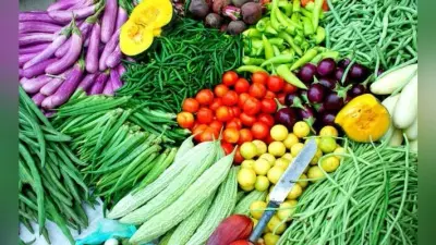 यमुना किनारे उगाई जा रही सब्जियों से कैंसर का डर
