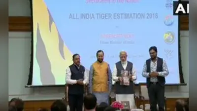 #TigerStateOfIndia: वर्ल्ड टाइगर डे पर PM मोदी ने जारी किया रिपोर्ट, देश में दोगुनी हुई बाघों की संख्या