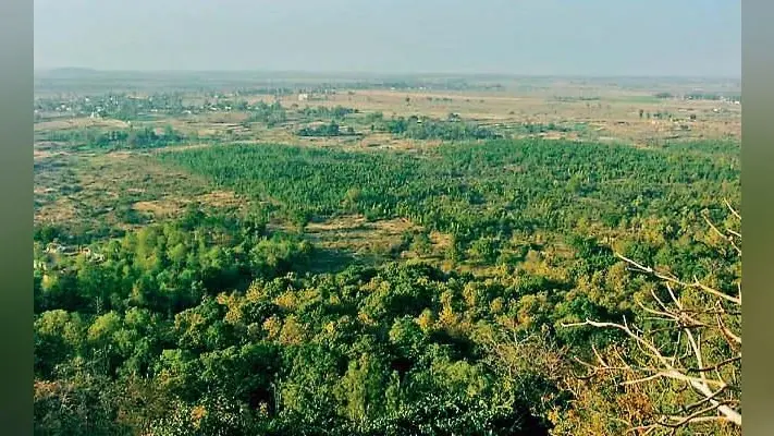 हजारीबाग में जमीन घोटाला: वन भूमि की खरीद-बिक्री में नेता और अफसर भी