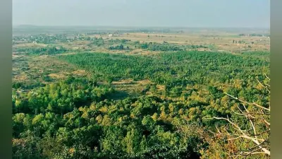 हजारीबाग में जमीन घोटाला: वन भूमि की खरीद-बिक्री में नेता और अफसर भी
