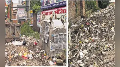 शहर में कहीं कचरों का अंबार, तो कहीं लोग जलजमाव से लाचार