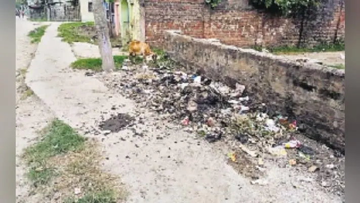 लाखों खर्च, नतीजा सिफर, स्वच्छ शहर का सपना बना सपना
